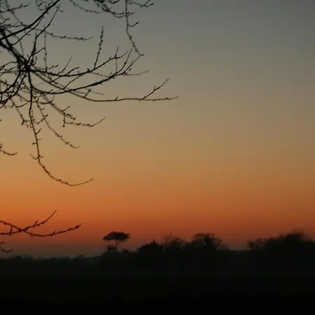 Le Coucher De Soleil Couette-café
